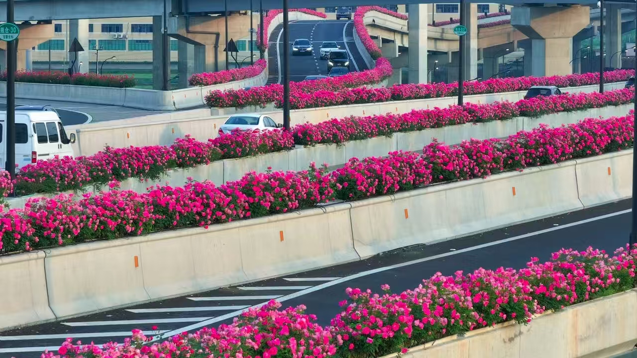 1afd8a65420e02f85fa1bbcc6357d39 1afd8a65420e02f85fa1bbcc6357d39